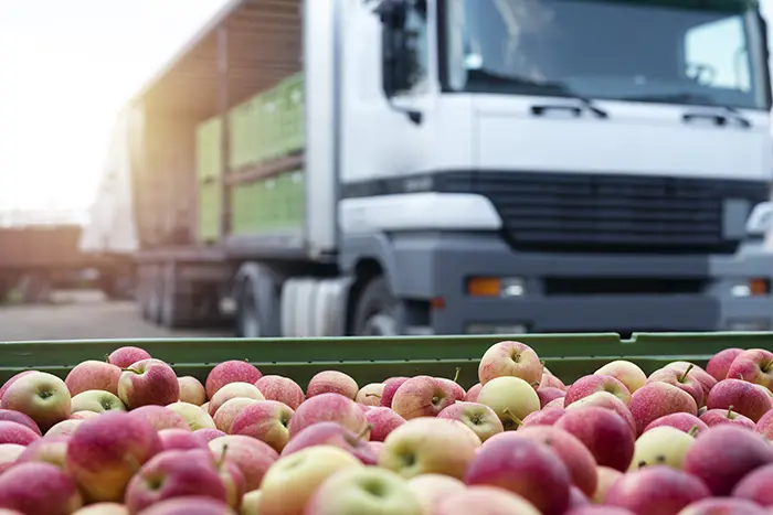 Camion Amiar con carico di mele pronte per essere portate al supermercato
